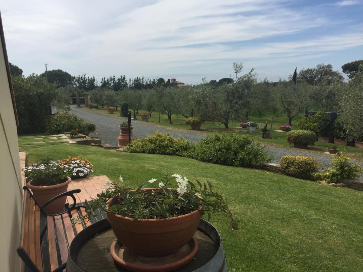 Le Macine Villa Cecina  Bagian luar foto